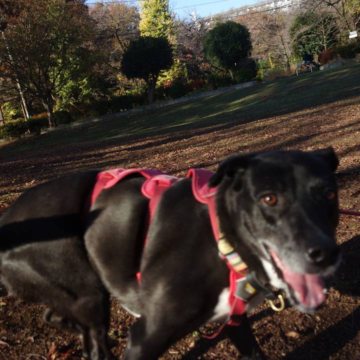 D866a90f 01c0 4a83 be9d 0fdeeda86308 1701132095684