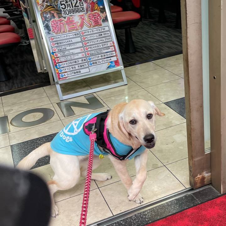 D866d73f 89ec 4a8f a562 d67d0c8854ac 1622511551646