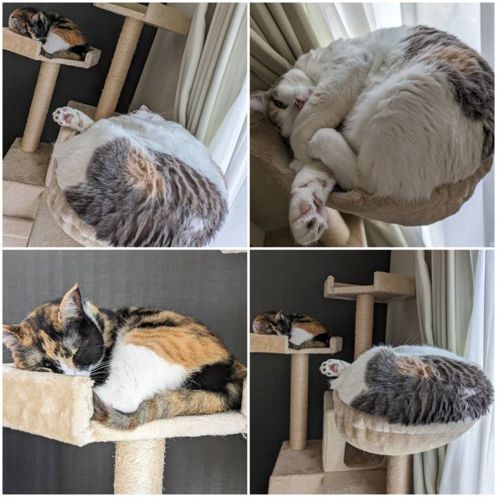 D866f73b 80c2 43cf ad37 f44d2745048e 1712895709909