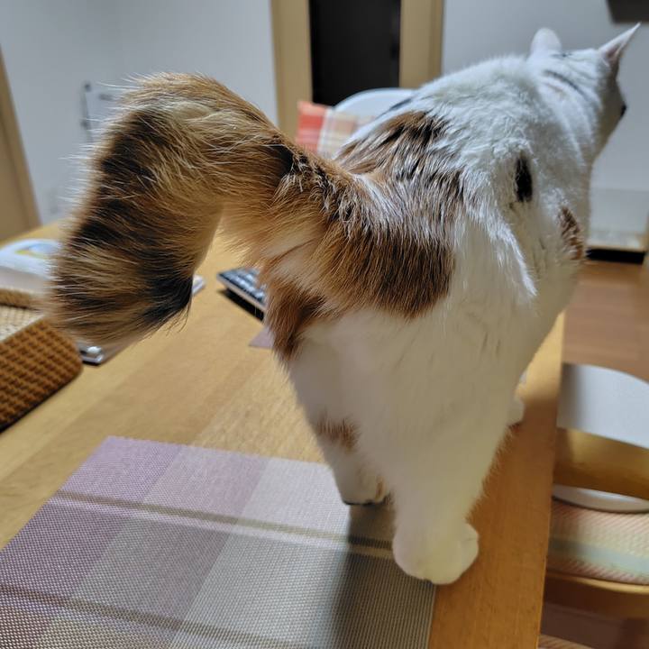 D86748bb 0c07 4e3e bbe0 8f86e795c8de 1730296055454