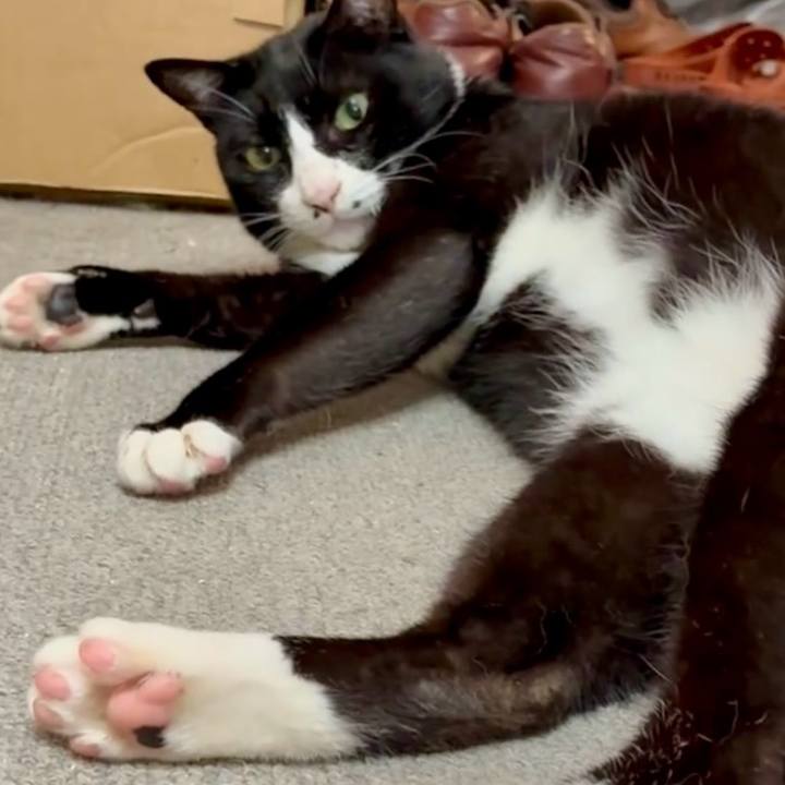 D8678077 85ff 4d93 ad11 2fdcda724dfb 1752369847366