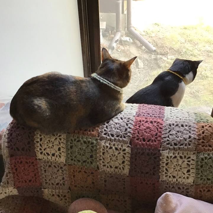 D867c131 93d7 457f a377 e4d326f0657c 1647064529376