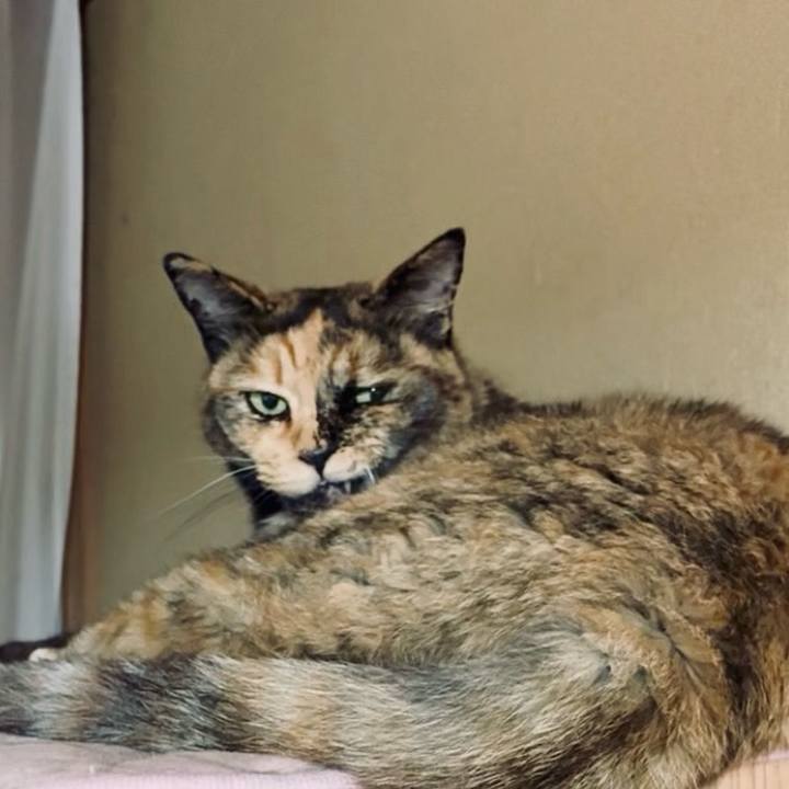 D8686dc3 44ee 4d64 a645 ba93d44ec943 1751684175595