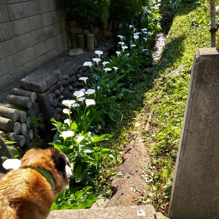 D8688447 f727 4b40 a5b7 1d20253f69c6 1558657432051