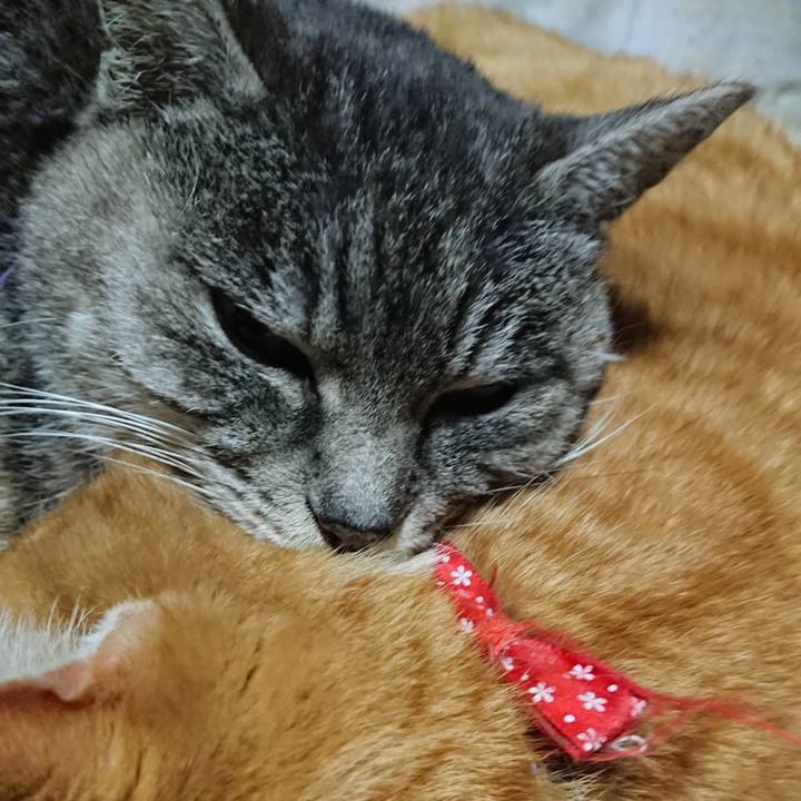 D868d412 7c13 4561 95f3 caf4156d269e 1579781475811