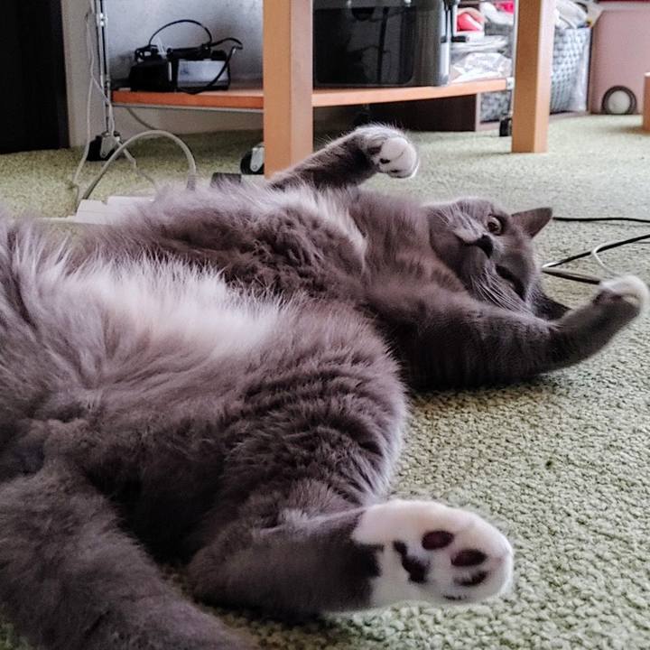 D86912c5 ed2c 41cf bb8e 64bdf257a2cc 1727734563658