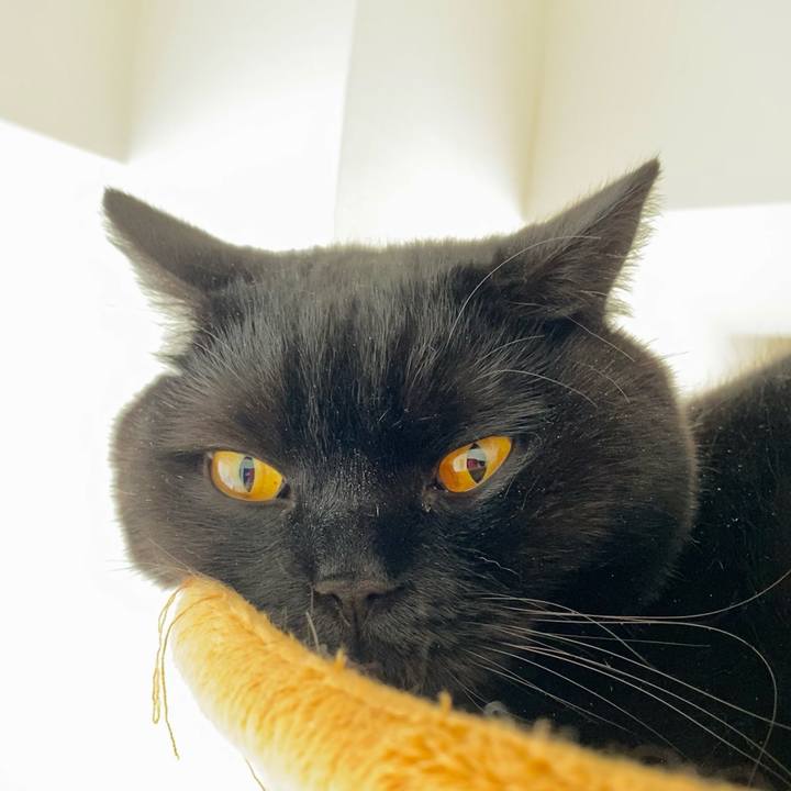 D869393b a0fb 43b3 aa46 656d7832805e 1617248524630