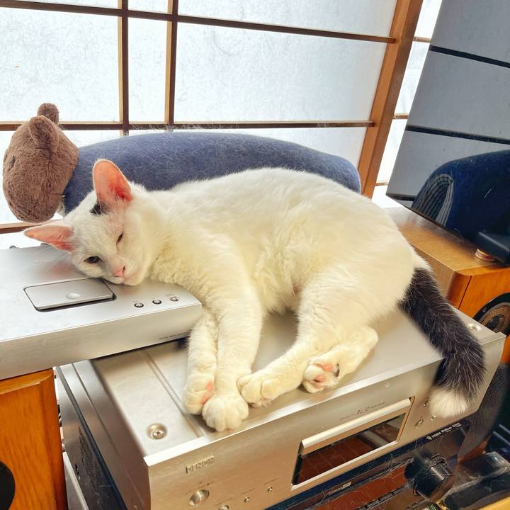 D8695821 0179 4ca2 9397 aaf78aa03345 1756007118846