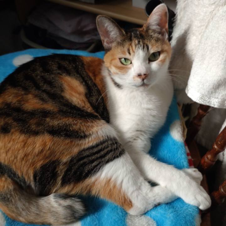 D86980ee b2ef 4380 a4c5 18a982e565ff 1666325382936