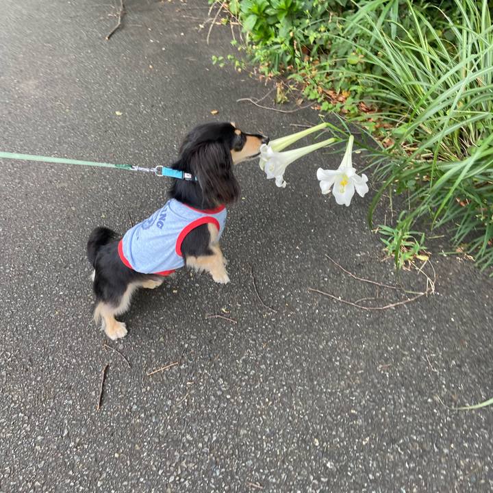 D86992c8 40d2 4eb7 a6e5 e61edfc7ec80 1723938692272