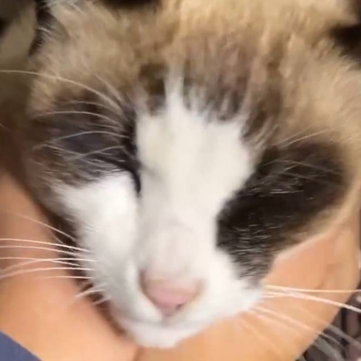 D869b599 da26 4b91 8d3e f8e3fa876a7f 1738459699804