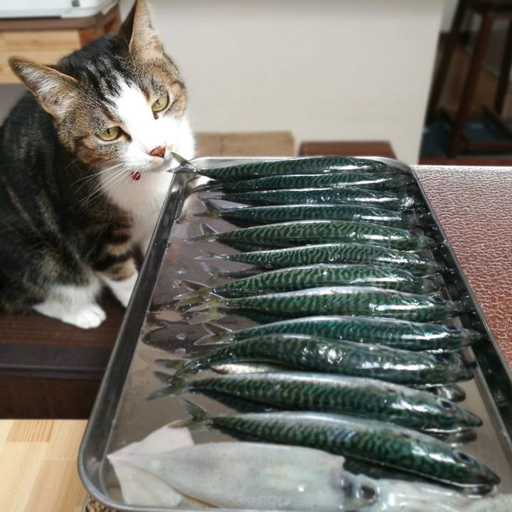 D869bf44 ca30 452f 861d 7c8d1e015366 1558670825620