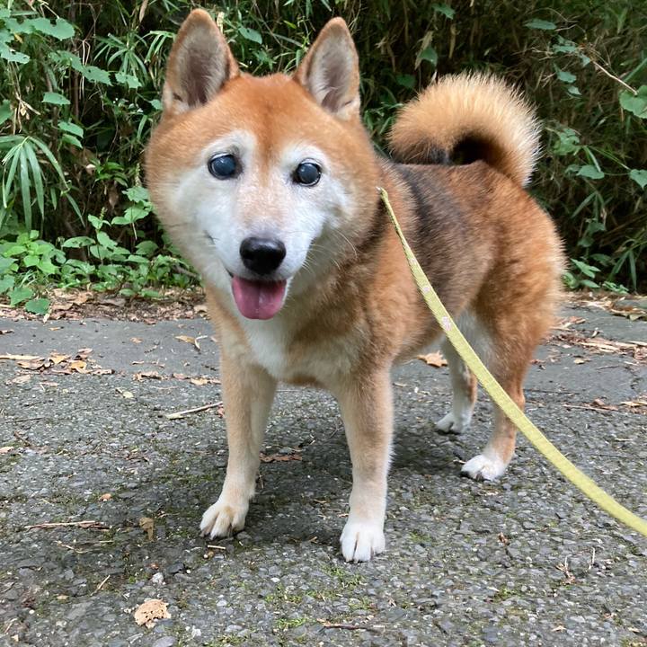 D869e402 043f 4475 bafc d8fb9a88c5d0 1696135868821