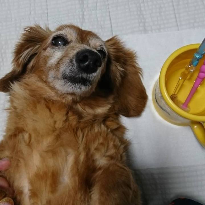 D86a1630 07f5 4937 80b3 5c5e9eb29111 1754674159401