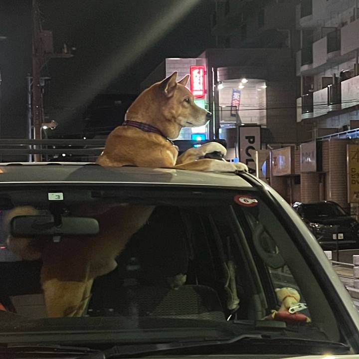 D86a44ac a0b9 4edb a215 d5ed7eb2476d 1699581473998