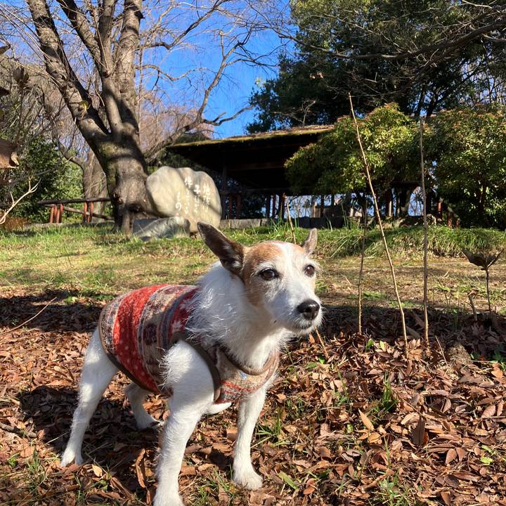 D86a4a2e a917 40f2 acd9 0fb3d1e6fcb3 1702423320965