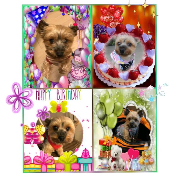 D86a4ddd 9f5b 49a3 b76d 80901a2753ae 1531544061134