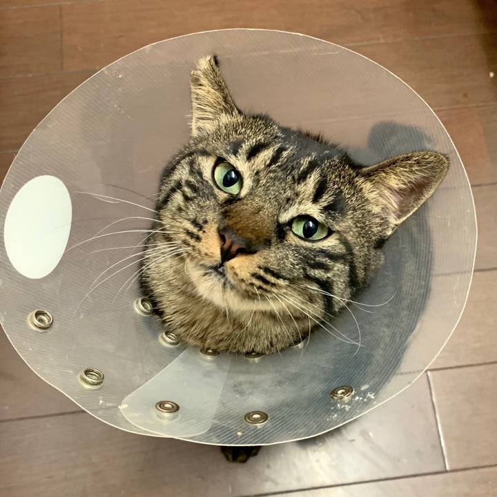 D86a5306 b7d2 4d03 bd8d f02cd8ff0536 1579614510835