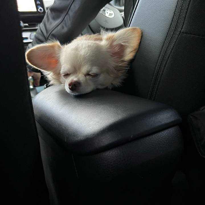 D86a7709 5574 4e2a 99d4 da516ef8fde8 1729373666294