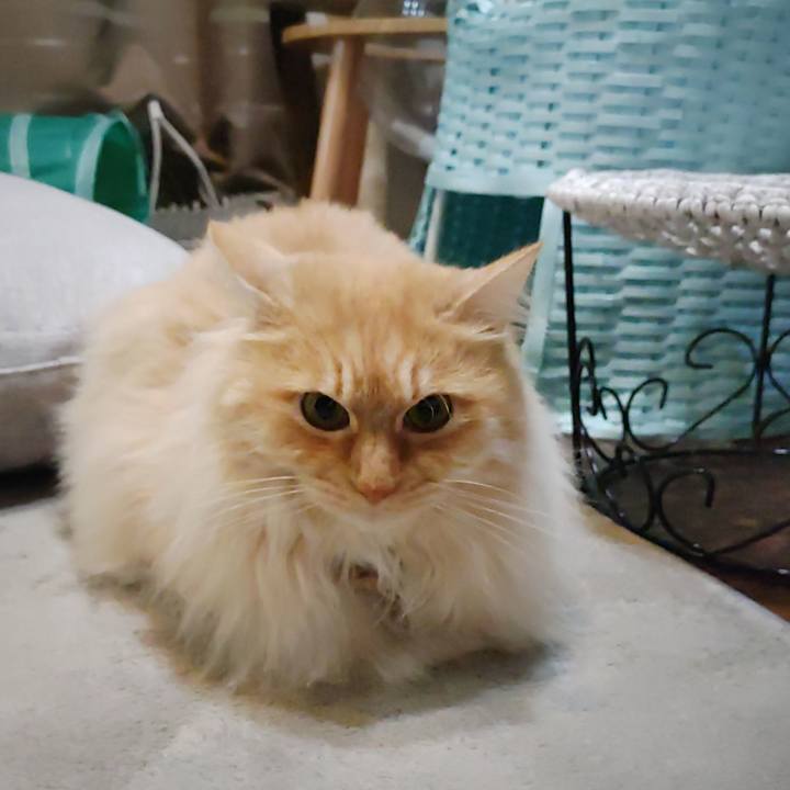 D86ac01f dfac 44ed 8440 d0d4bdbdea91 1711579626641