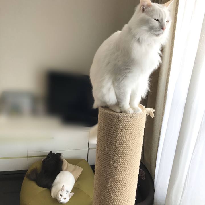 D86ade72 c5a0 4563 ad96 f2ef7b099d61 1580277873474