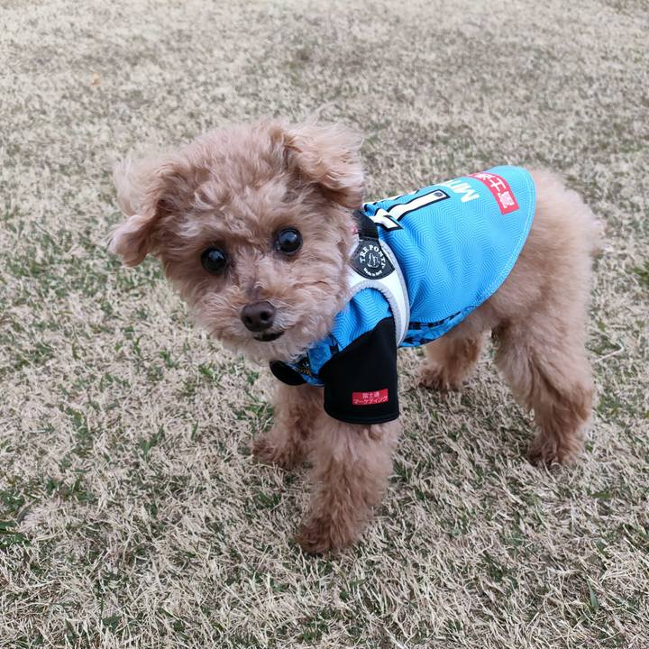 D86b02dd 9efc 492c afde a968e8bfac22 1648422282994