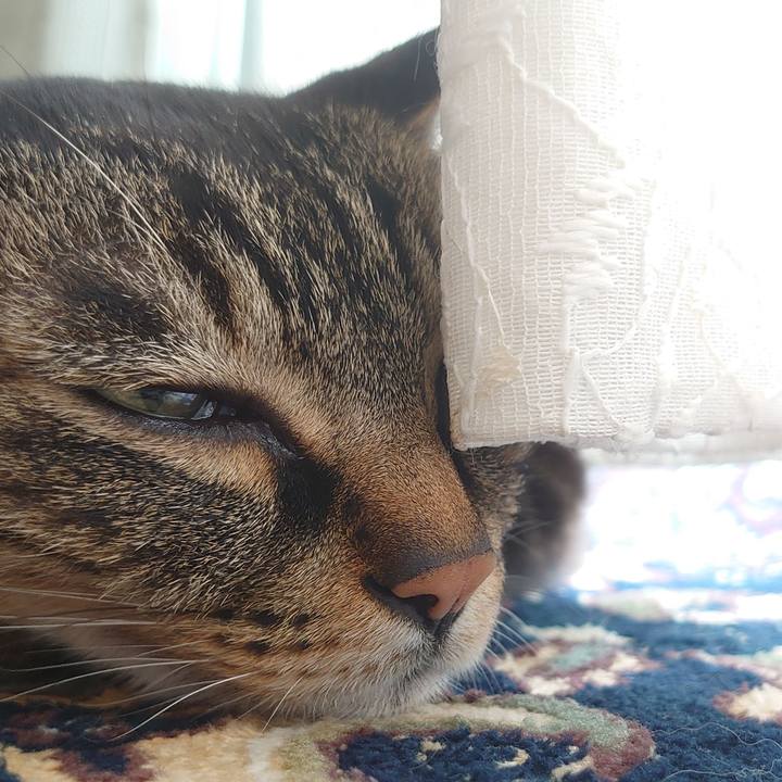 D86b0ec7 cf54 47ef b32b 4d2044ccbfce 1658022337164