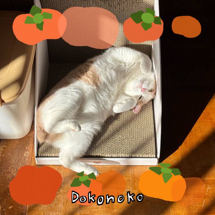 D86b114c a53d 49d1 acf8 100a1bc78c91 1761180851606