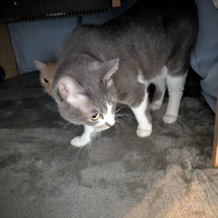 D86b1465 a892 4681 8631 1fde893e73ed 1734569332386