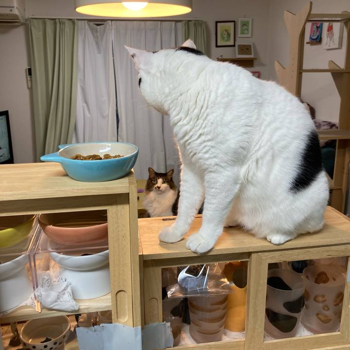 D86b456a 3039 4a66 8762 58671fd72b20 1757623474483