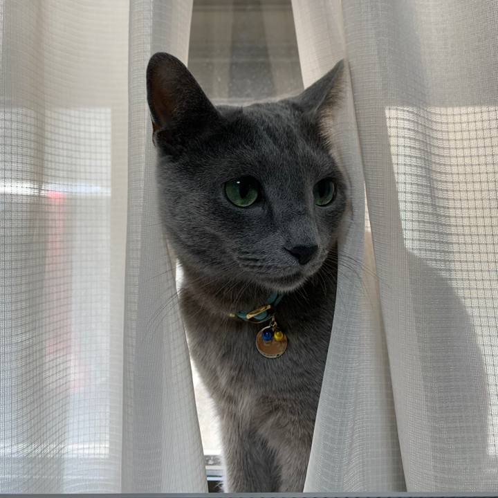 D86b48f7 4714 4181 99b7 4dca930f3120 1619333529626