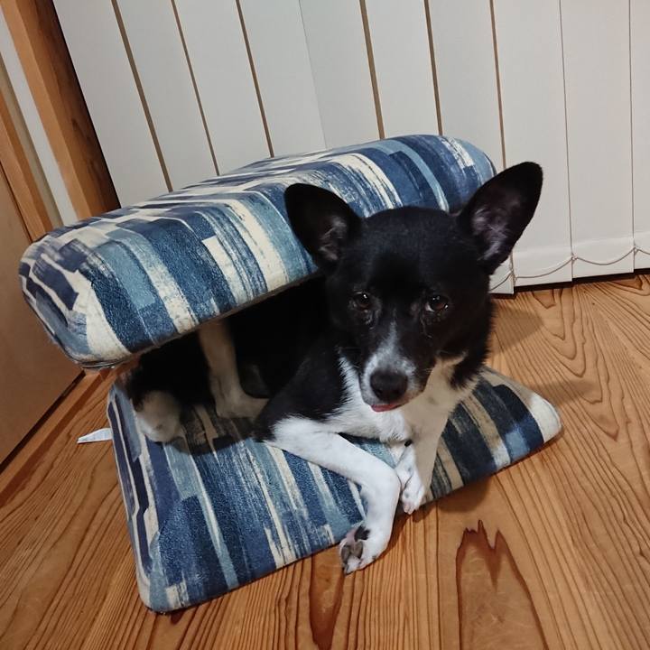 D86b9a07 1b56 4d07 b63f aba0b3cbbba6 1626790807823