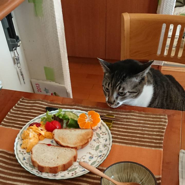 D86b9c84 c8d3 403d b7fe 42d93d9b9576 1579397443201