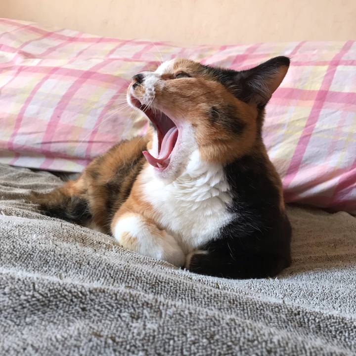 D86bb3ec bbf3 4c35 89e7 b86a0080839c 1551492842954