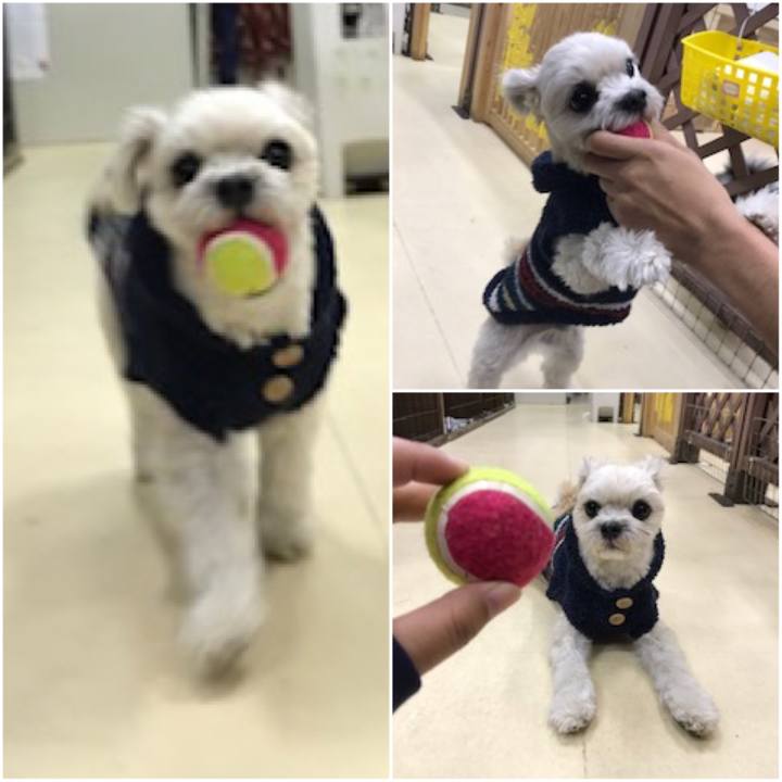 D86be338 e0cf 4a6b ba29 84b787f89939 1515670507953