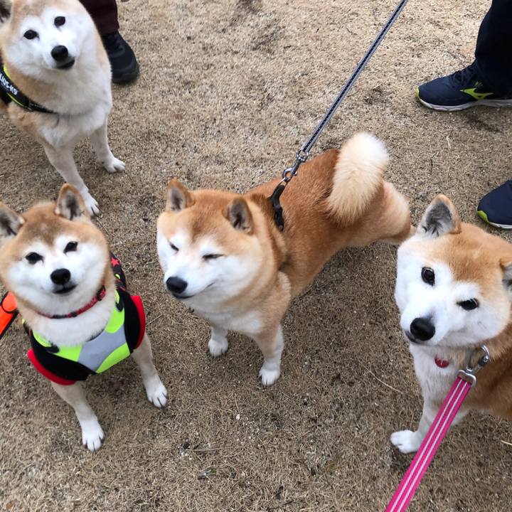 D86bfd01 379a 4e8d b5fb eb8e82a00066 1676155416466