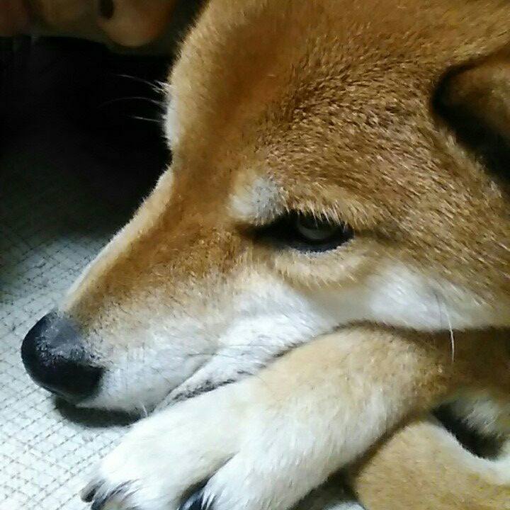 D86c3190 0cf8 4828 bdd9 71c55f6595d3 1556701929492