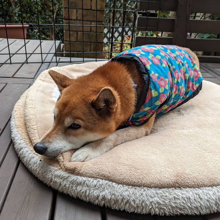 D86c97a5 0173 4d0c 9b45 d9606877aa51 1708925694514