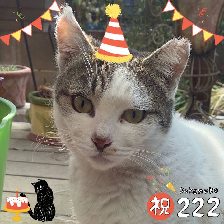 D86cb565 d087 46b4 90f3 708f0c6e10be 1645526916446