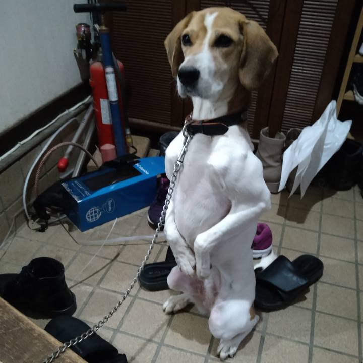 D86ccbe1 4f59 448e a7cf cebdeca49182 1646662479339