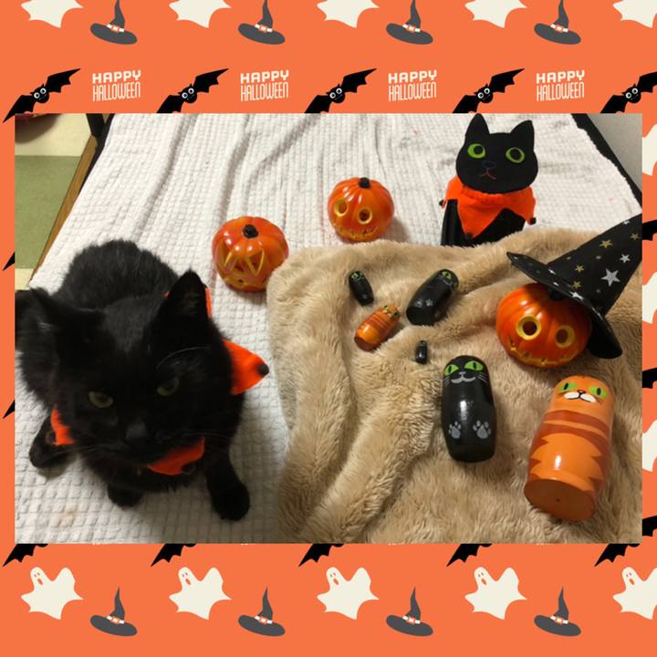 D86ce31f dbff 41ed b423 b4d4cecc22aa 1635069849518