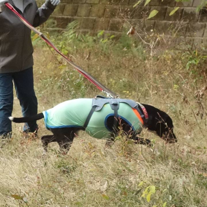 D86d0707 bea3 4957 96d9 810b27f9429a 1734049540035