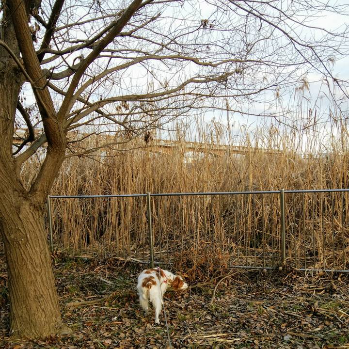 D86d0adb 9845 49a0 8ae8 ac5040ba3070 1550275854325