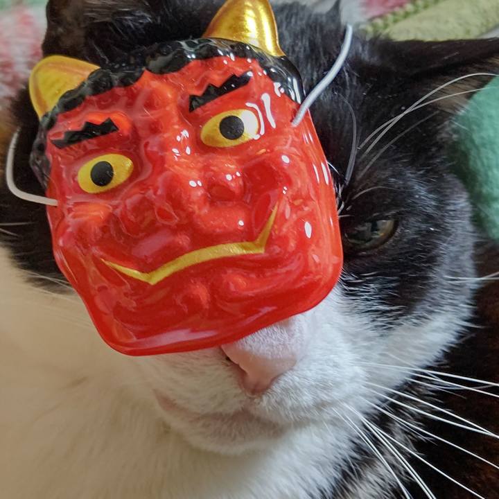 D86d1e32 ed9b 4db6 924e 486d9c4b128f 1643878843470