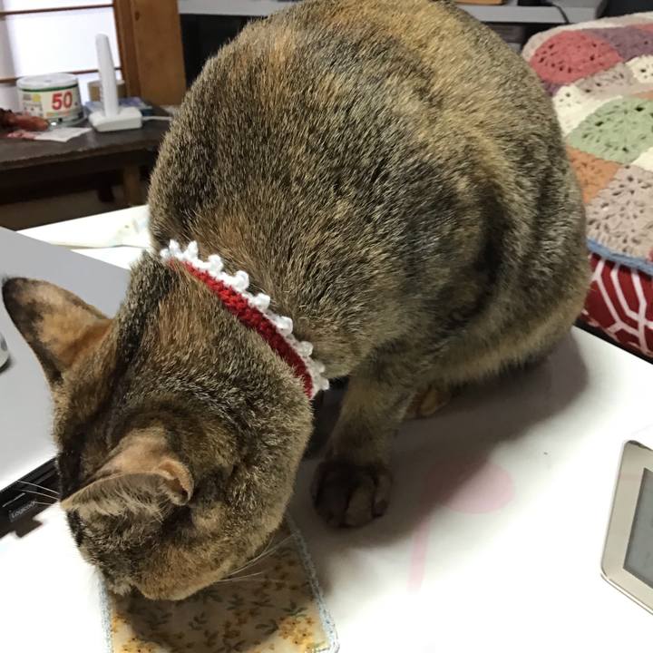 D86d241c aa03 4db5 885d 690ba297576f 1579917363143