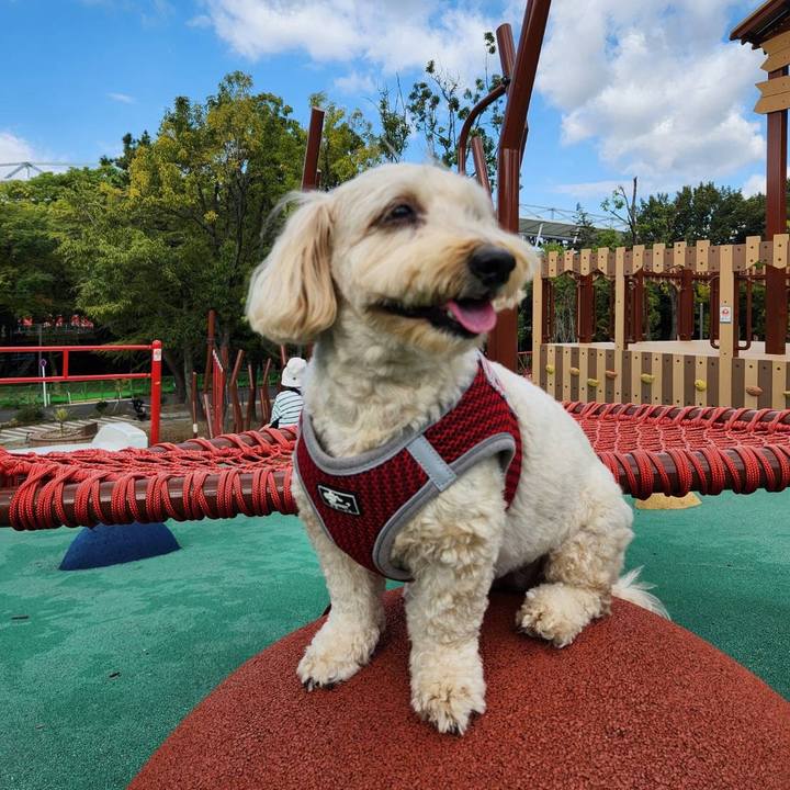 D86d2558 11ed 4fbd a487 344c53787685 1761534795510