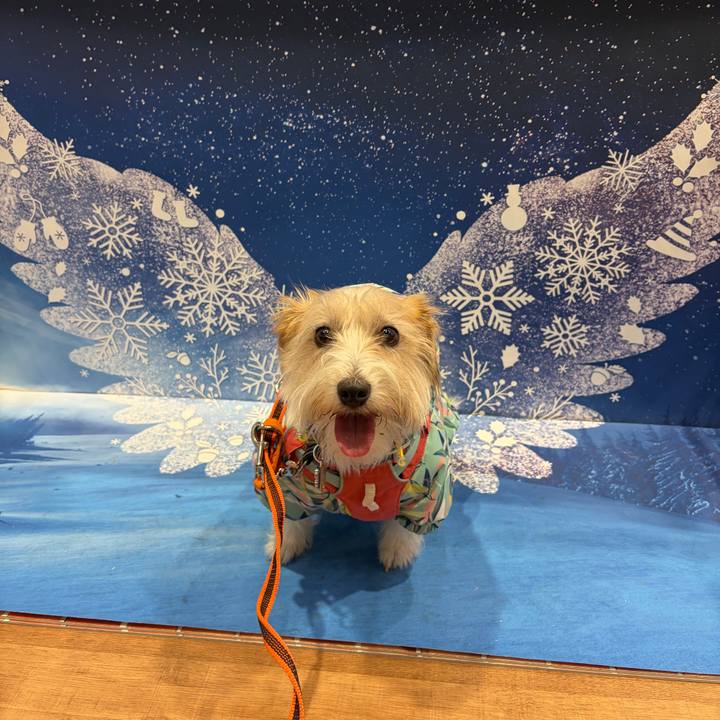 D86d3392 8a58 4edd 8a69 ea53feef1df7 1770783348633