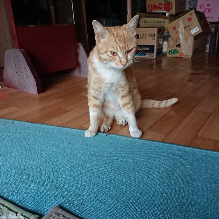 D86d3cbc 5698 4d43 b3ef 0ad314666017 1554281324312