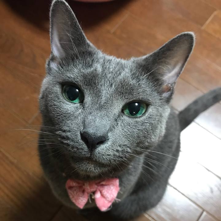 D86d4ab0 1831 4e3c 8cb7 d6ea136f793f 1561869532450