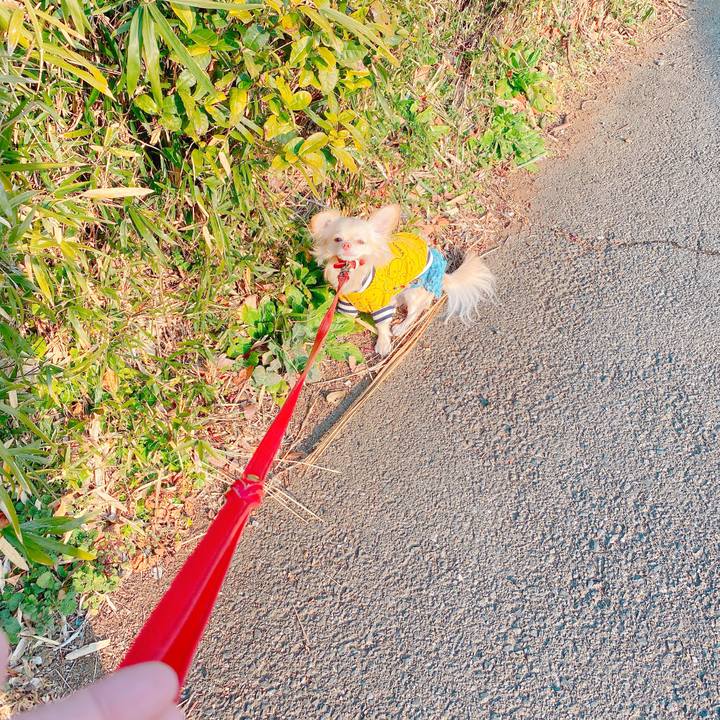 D86d4cf6 ad11 4ea7 9168 9e4ba9fa4856 1643179057844